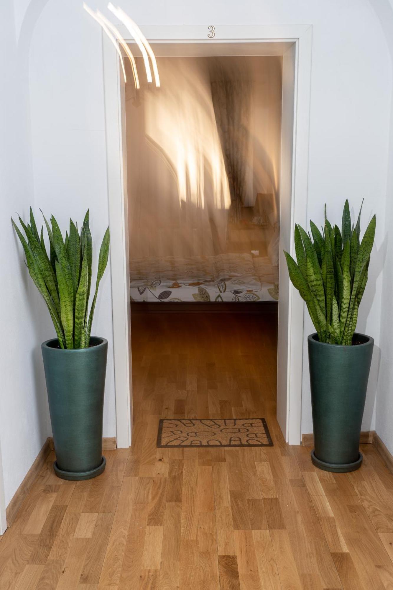 Downtown Sibiu Apartman Kültér fotó